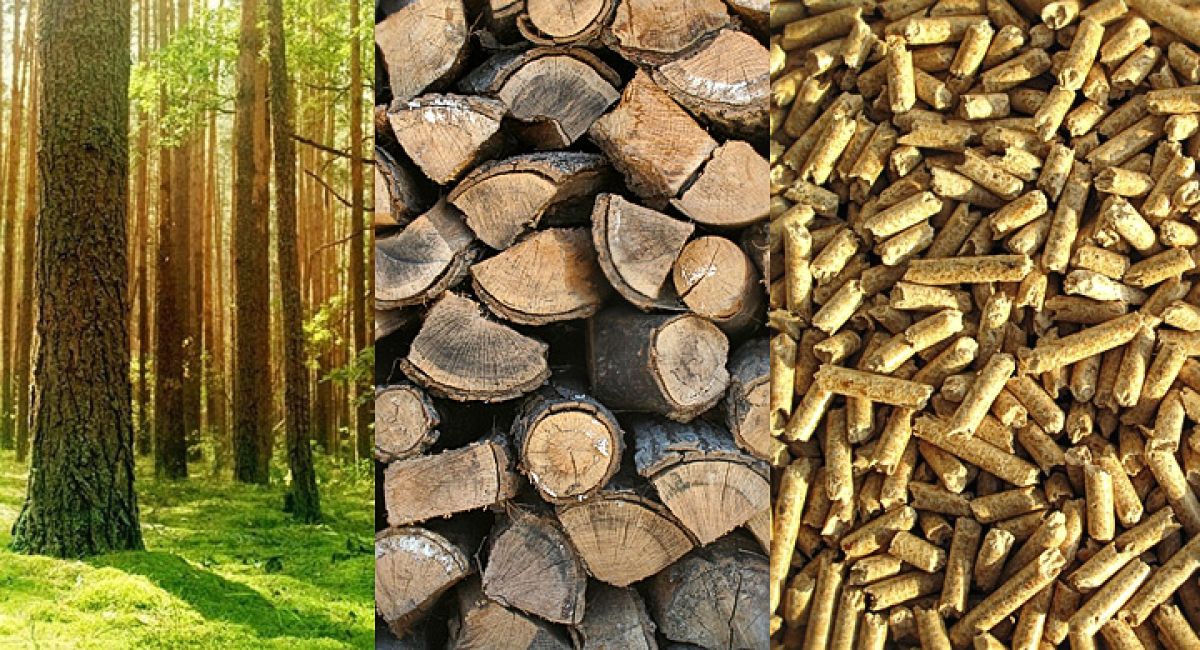 Dlaczego kupujemy biomasę za granicą